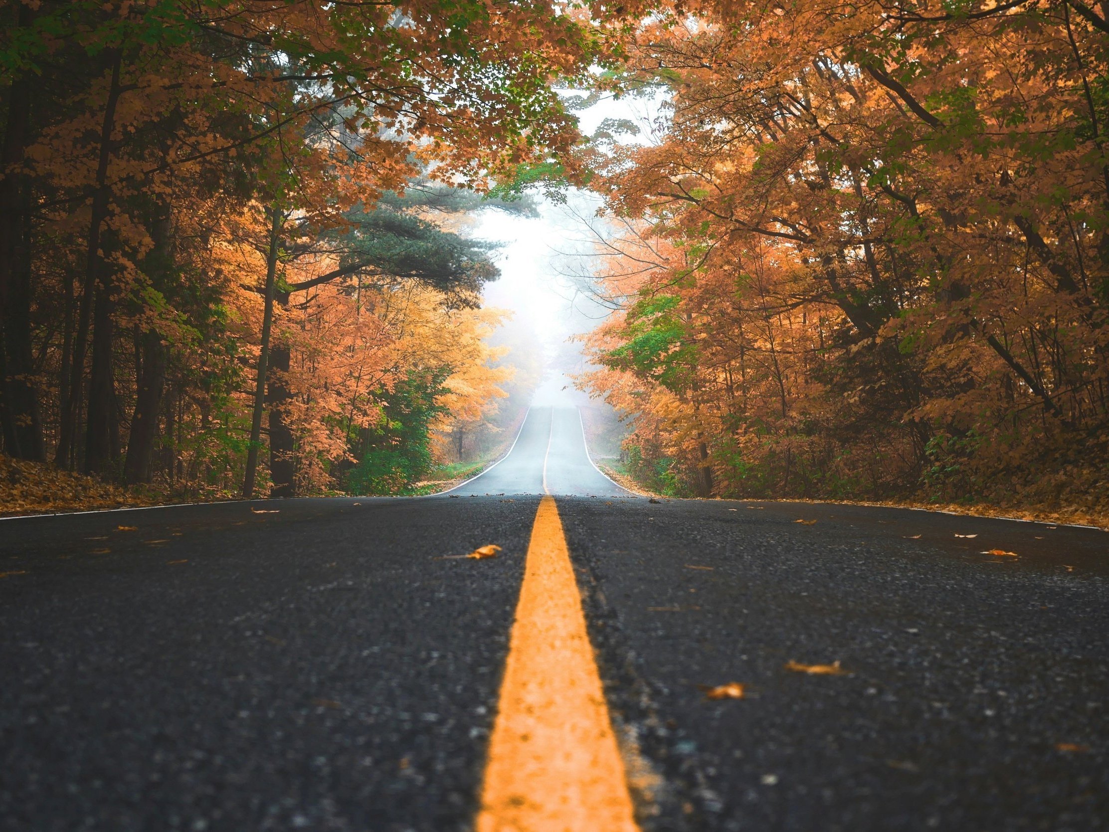 Quanto costa davvero un’auto elettrica?