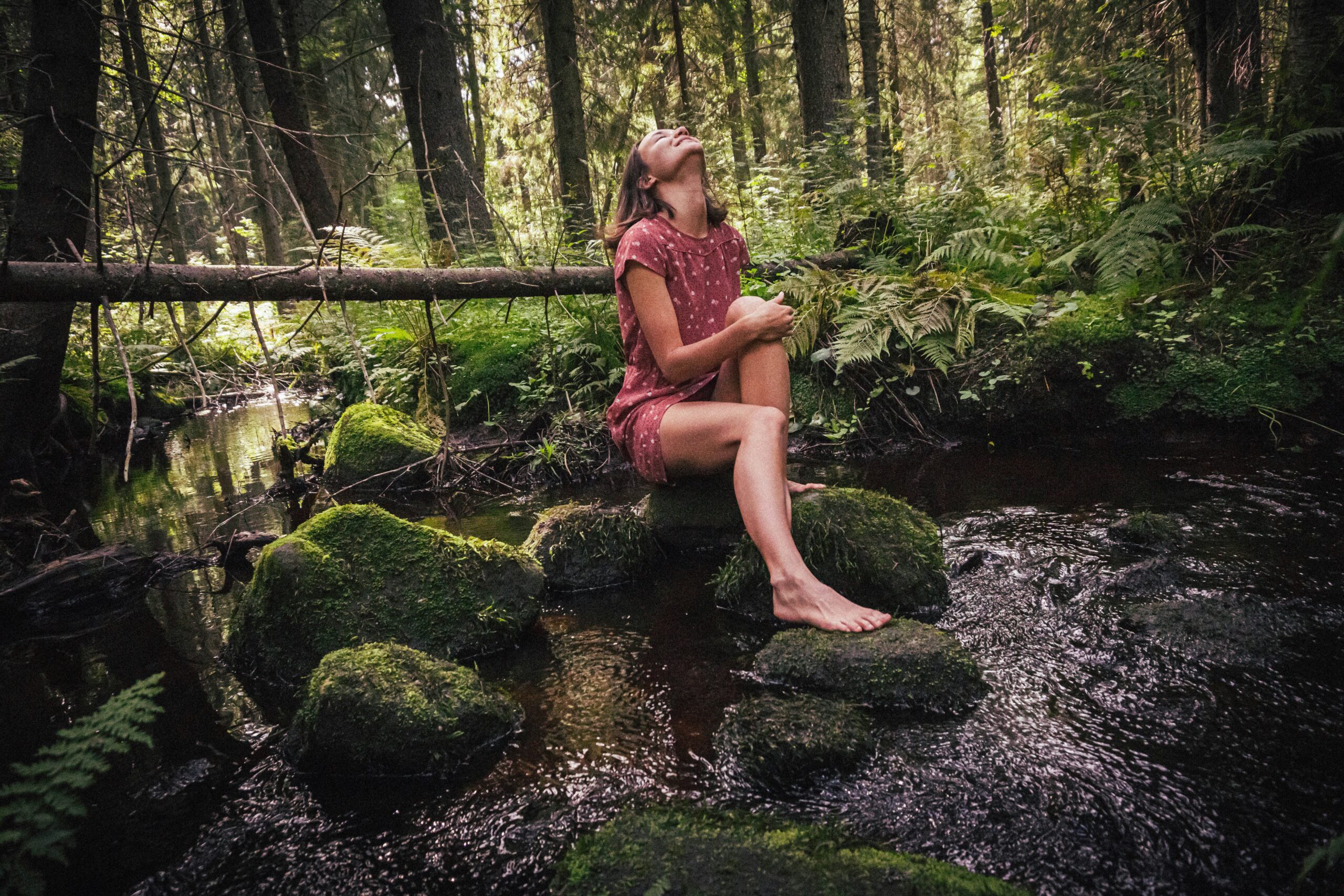 Perché dare un valore economico alla natura può proteggerla davvero