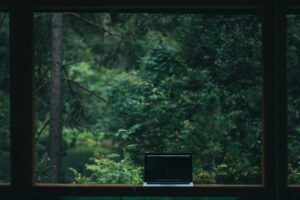 Intelligenza artificiale e ambiente