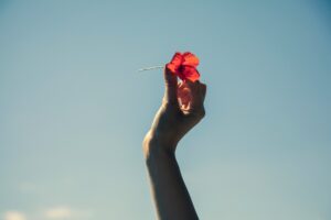 naspi per le vittime di violenza